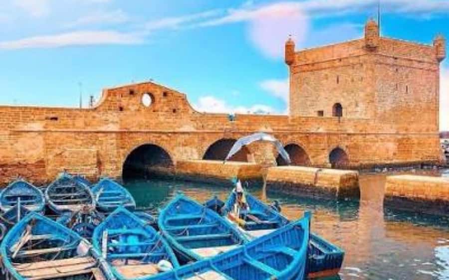 Marrakech: Day Trip to the Beautiful and Historic Essaouira - A beach walk and optional time by the water