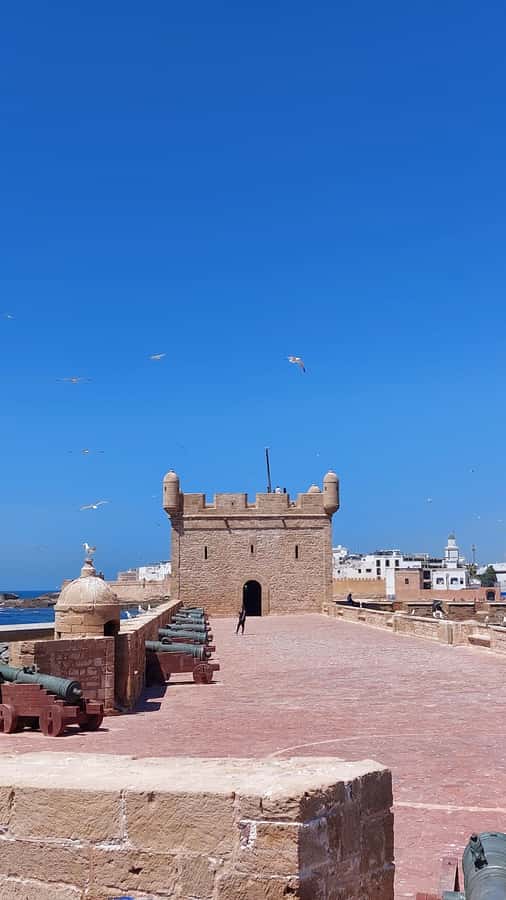 Marrakech: Day Trip to the Beautiful and Historic Essaouira - Who should book this day trip?