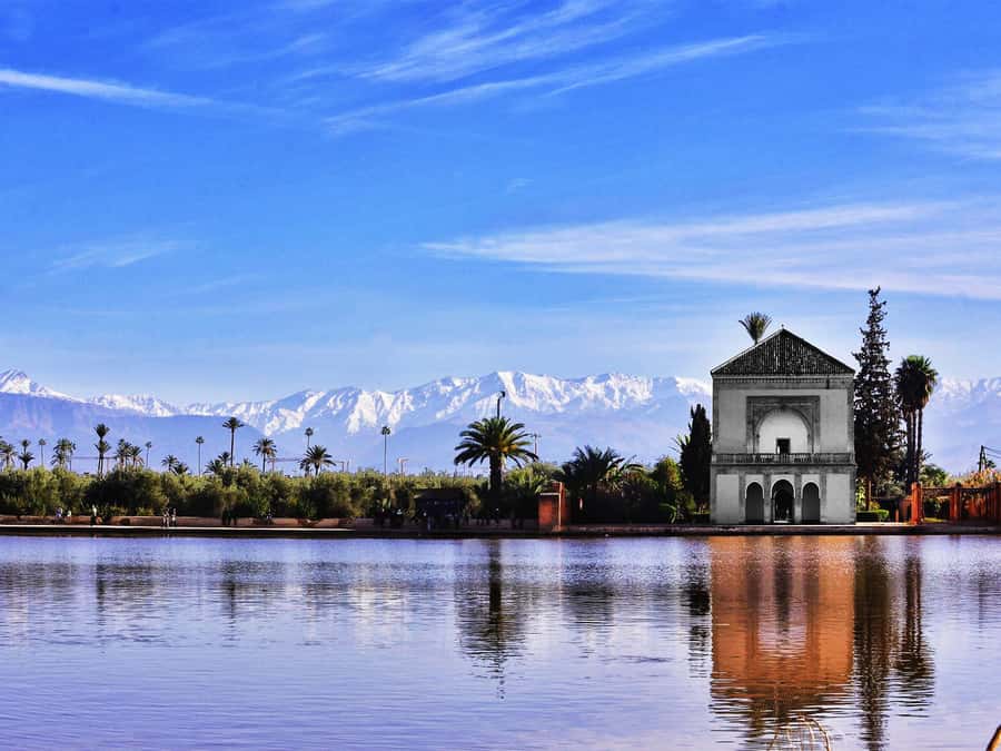 Marrakech: Historical Discovery Tour - Learning about spices at a local herbalist