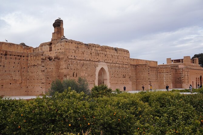 Marrakech The History and Culture Day Trip - Seeing Marrakech’s major sights