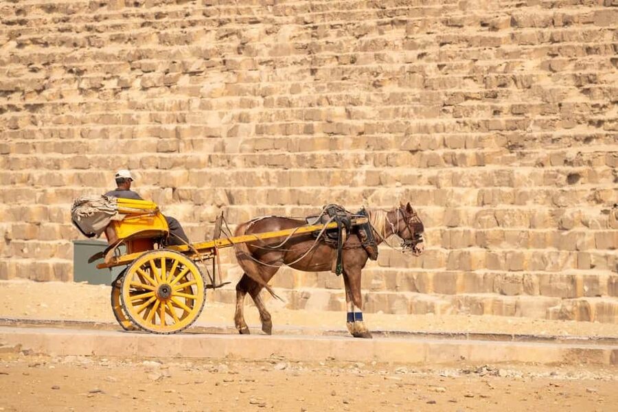 Marsa Alam: Ancient Cairo & Giza Pyramids Day Trip by Plane - Guide quality and group comfort