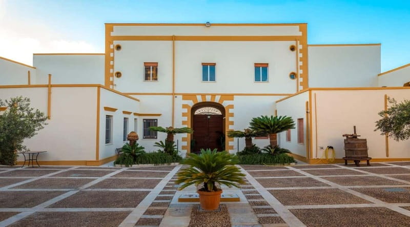 Marsala: Historic winery tour with wine tasting - Why Cantine Mothia makes sense in a Marsala itinerary