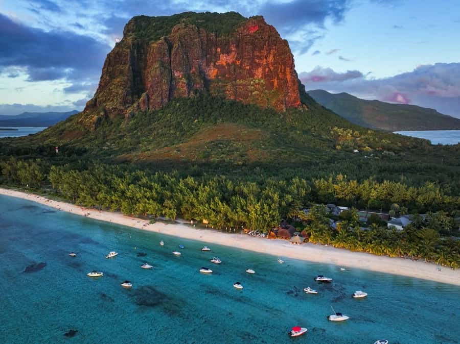 Mauritius: Le Morne Brabant Hike with Historical Immersion - Plants, birds, and the special ecology of the mountain