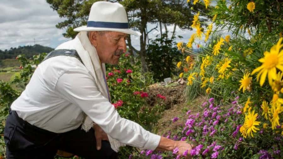 Medellín: Flower Farm & Silletero History Tour - Walking through the flower finca