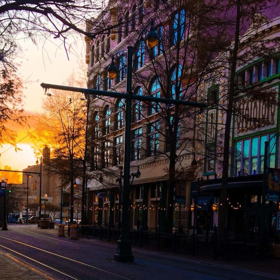 Memphis: True Crime History Bus Tour - Key points to know before you book