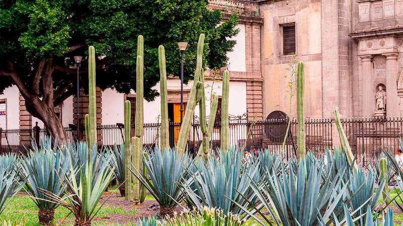 Mexico City: Historic Downtown Walking Tour - The Post Office Building and its golden details