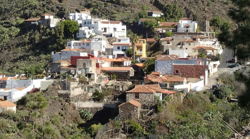 Mojo Workshop Cooking Class in Ancient Canarian Village - Practical limits you should know