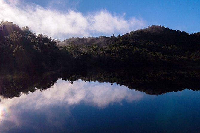 Morning World Heritage Cruise on the Gordon River from Strahan - Timing, weather, and who should book