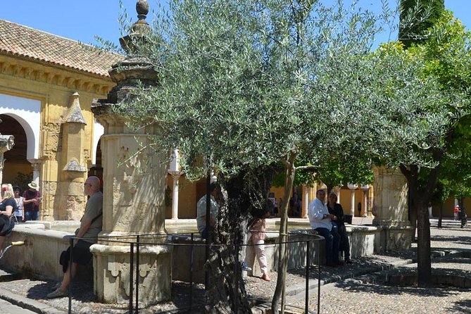 Mosque of Cordoba History Tour in English Tickets included - Who should book this Córdoba tour?