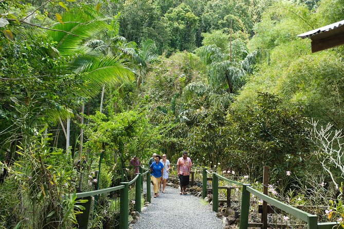 Nadi Heritage Tour - The TifaJek Mud Pools question