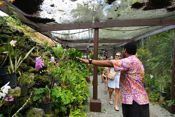 Nadi Heritage Tour - Timing, transport, and the lunch gap