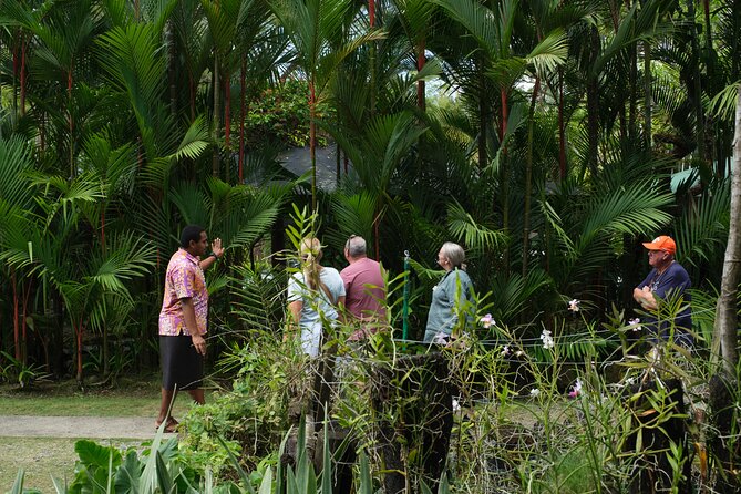 Nadi Heritage Tour - Who will get the most from this tour?
