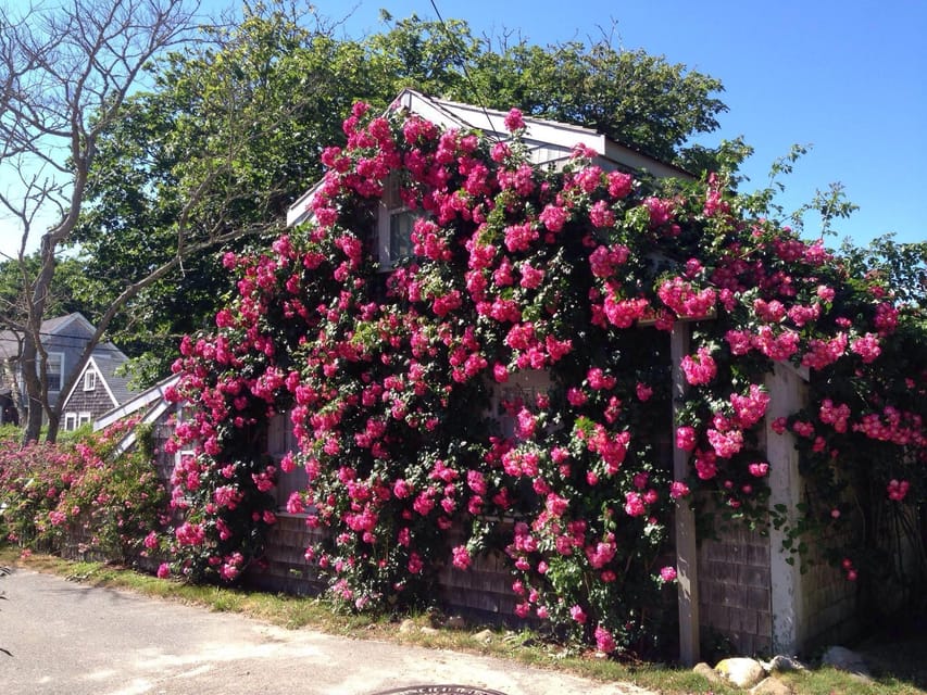 Nantucket: Historical Landmarks Sightseeing Bus Tour - What the vehicle ride is really like