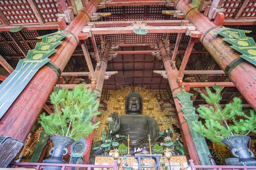 Nara: Half-Day UNESCO Heritage & Local Culture Walking Tour - Two hours inside Todai-ji Temple