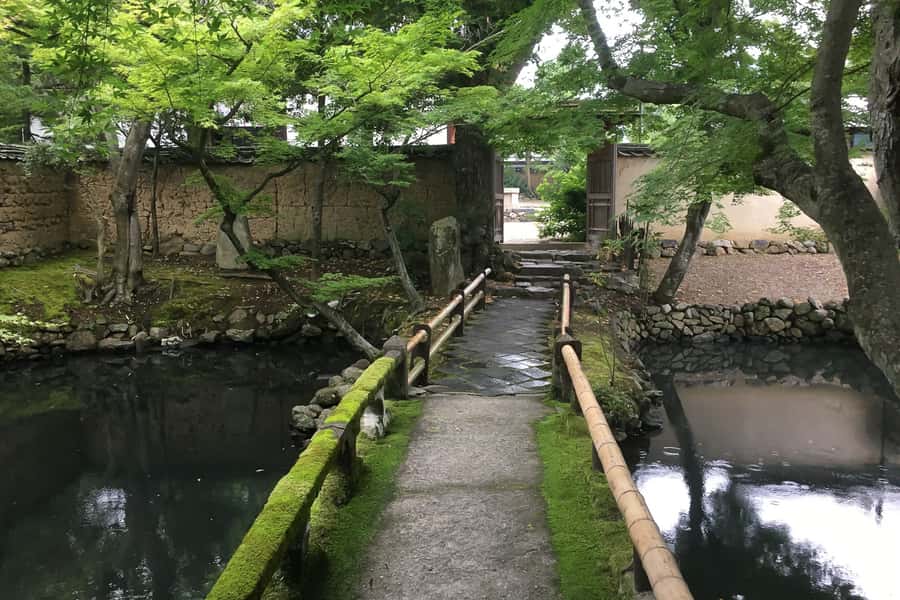 Nara: Half-Day UNESCO Heritage & Local Culture Walking Tour - A local lunch with Nara ingredients