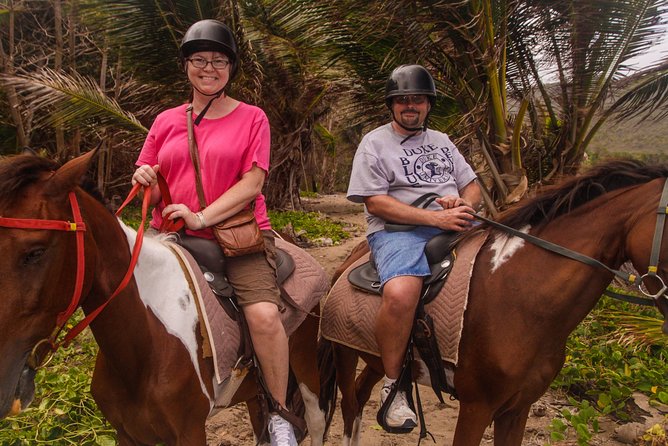 Nature & Historical Horseback Riding Tours St. Lucia - What beginner riders should expect