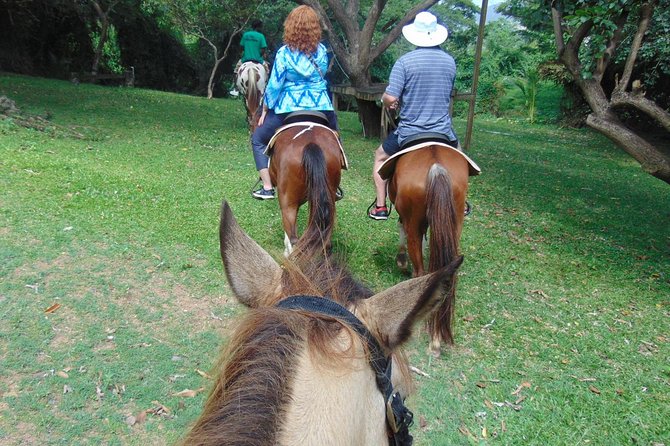Nature & Historical Horseback Riding Tours St. Lucia - Who will enjoy this St. Lucia horseback tour