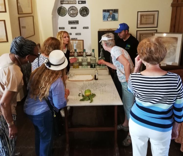 Naxos Island: Full–Day Historical Bus Tour - Emery mines and the road north