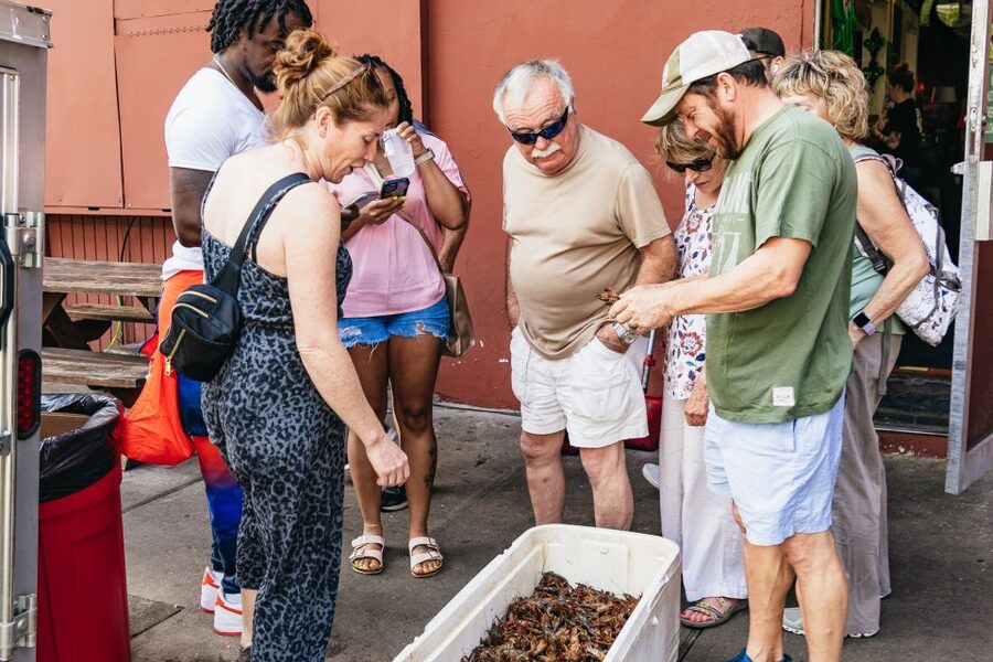 New Orleans: Garden District Food, Drinks & History Tour - Key points at a glance