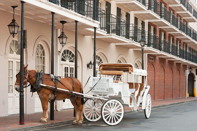 New Orleans Small-Group Haunted History Carriage Tour - Key points before you book