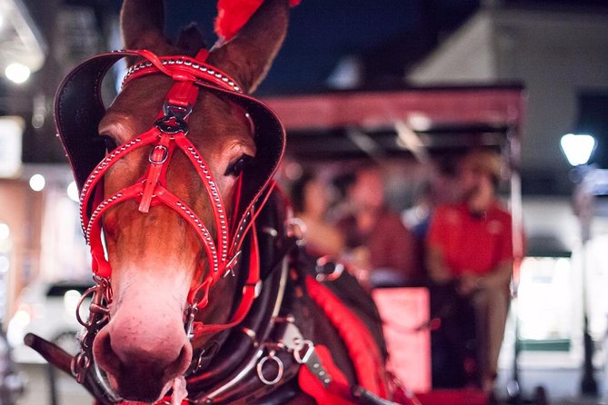 New Orleans Small-Group Haunted History Carriage Tour - Starting at 700 Decatur Street beside Jackson Square