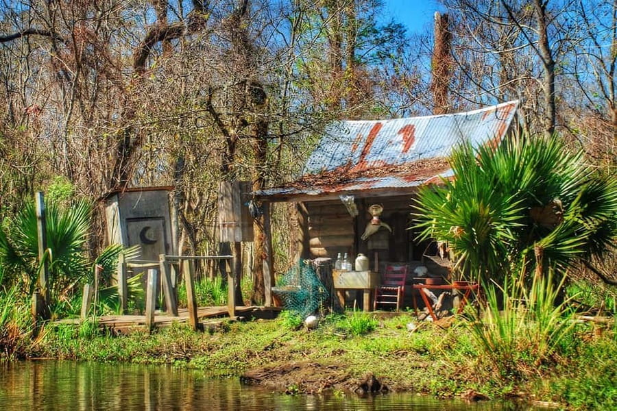 New Orleans: Swamp Boat Ride and Historic Plantation Tour - Who will enjoy this Louisiana day trip?