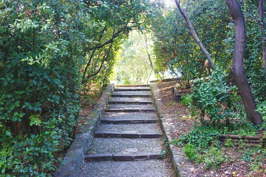Nice: Theatrical History Tour - Secrets of the Castle Hill - What the 75-Minute Castle Hill Walk Is Like