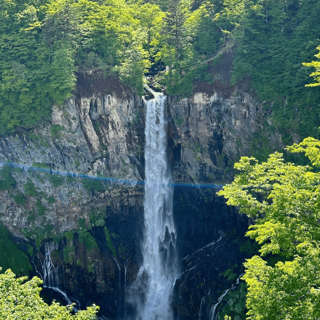 Nikko Heritage & Nature Day Trip from Tokyo - Toshogu Shrine: the cultural heart of the day