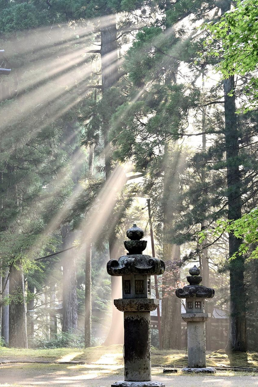 Nikko Heritage & Nature Day Trip from Tokyo - Kegon Falls: the day’s strongest natural sight