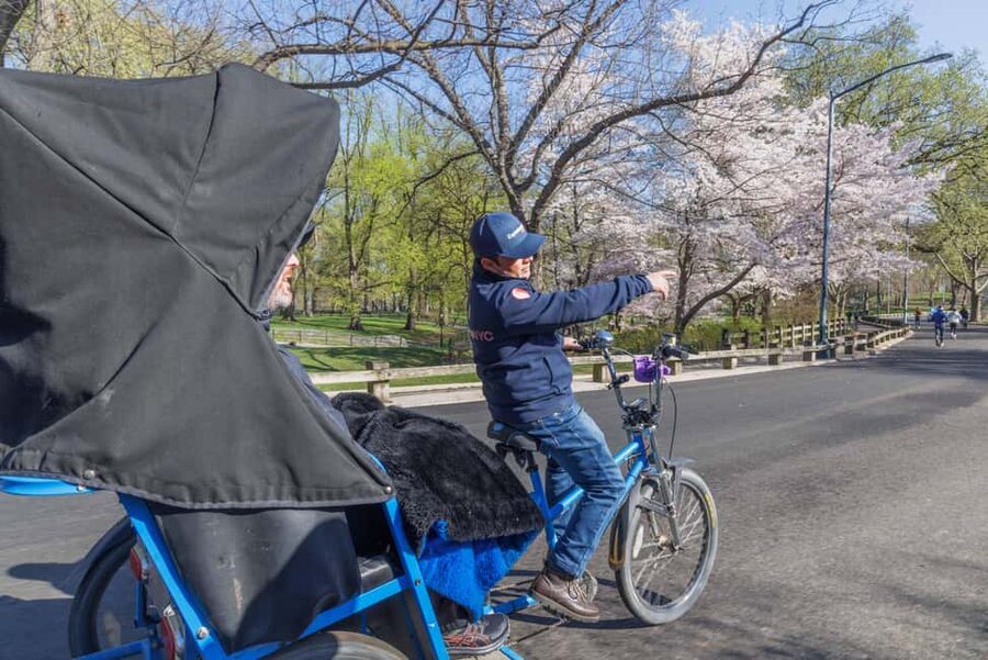 NYC: Central Park Pedicab Tour and Natural History Access - Key points to know before booking