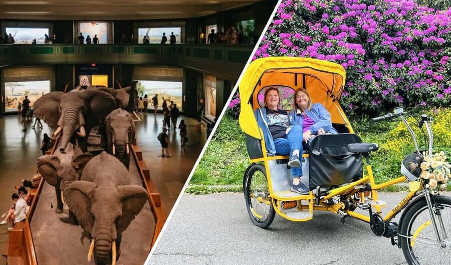 NYC: Central Park Pedicab Tour and Natural History Access - Meeting your pedicab near Central Park South
