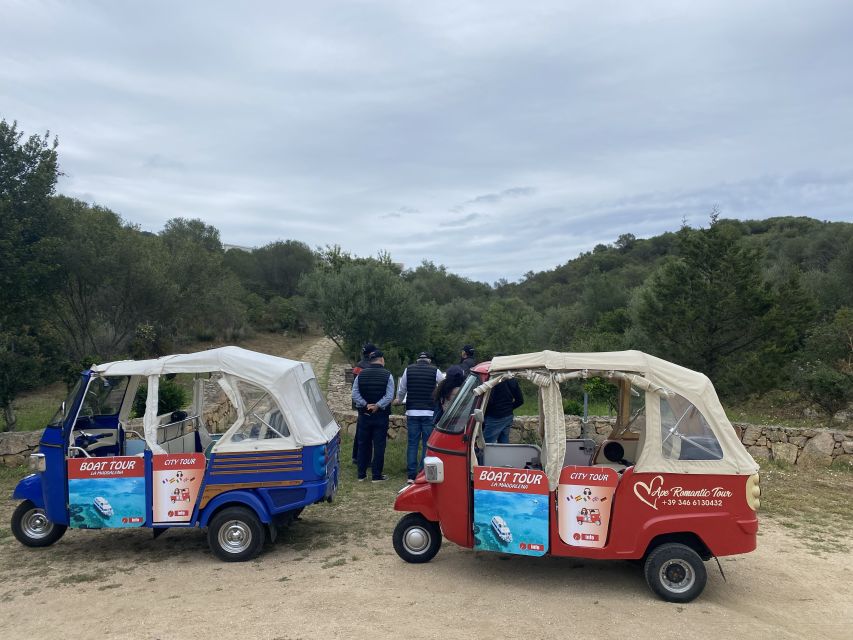Olbia: Archaeological Tour of Ancient Sardinia + Transport - Why this tour works for seeing ancient Olbia