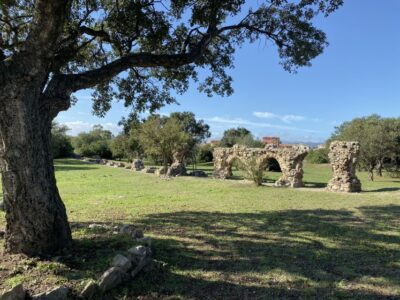 Olbia: Archaeological Tour of Ancient Sardinia + Transport