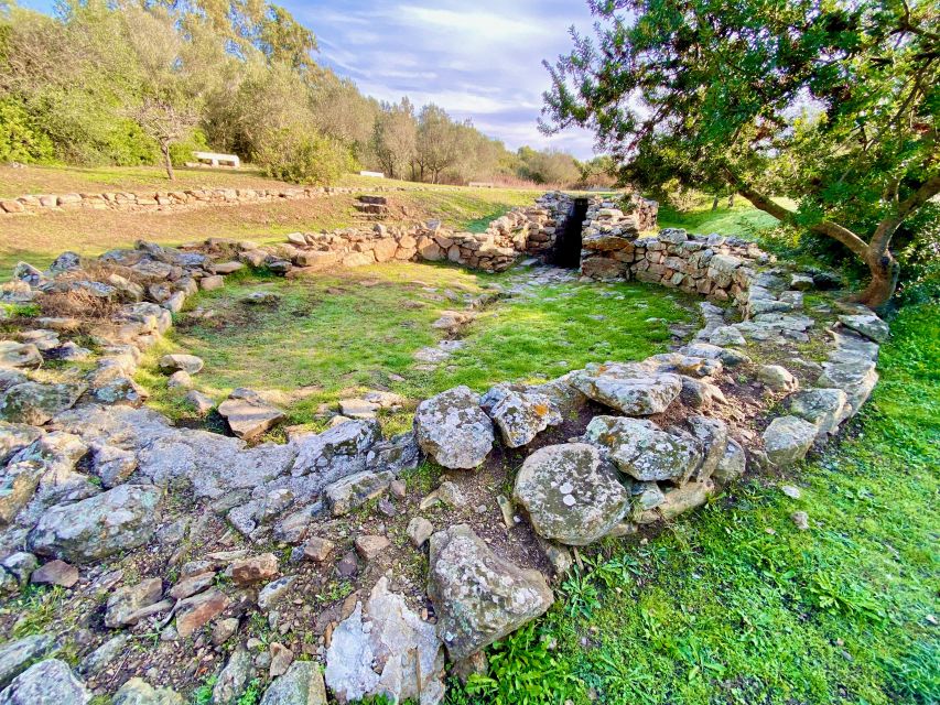 Olbia: Archaeological Tour of Ancient Sardinia + Transport - Su Mont’e s’Abe and the scale of Nuragic burial customs