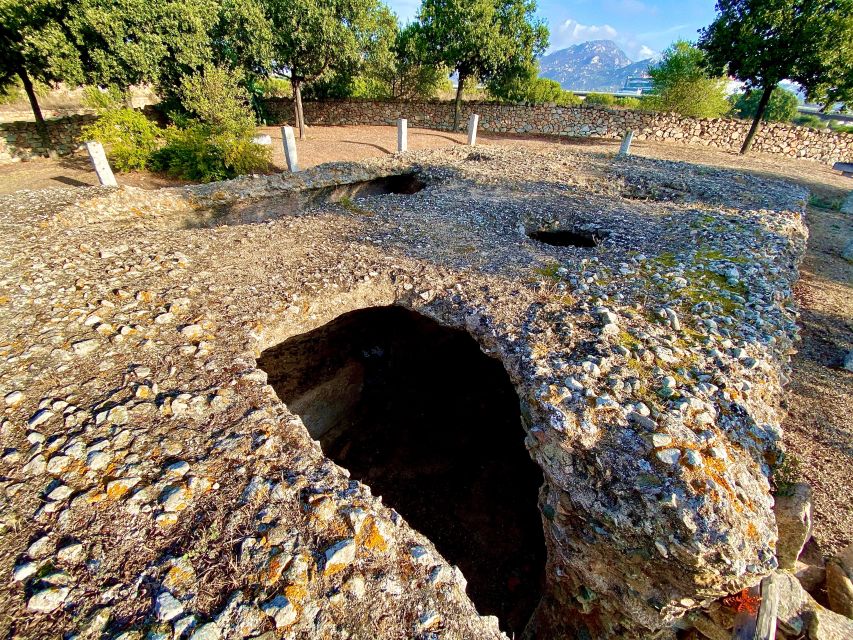 Olbia: Archaeological Tour of Ancient Sardinia + Transport - Tuk-tuk or minivan: which suits you best?