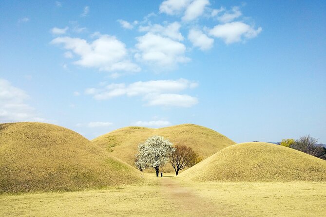 Old Korea Thousand History Tour of Gyeongju from Busan - What the $64 price really includes
