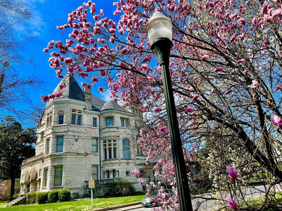 Old Louisville: History and Architecture Walking Tour - Floral Terrace and the quieter corners