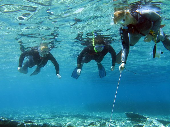 Olous – Guided Snorkelling Excursion to Discover Olous Sunken Ancient City - Key points to know before booking