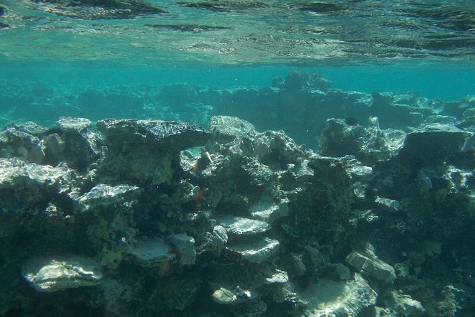 Olous – Guided Snorkelling Excursion to Discover Olous Sunken Ancient City - Swimming over Olous at only 50 to 80 centimeters