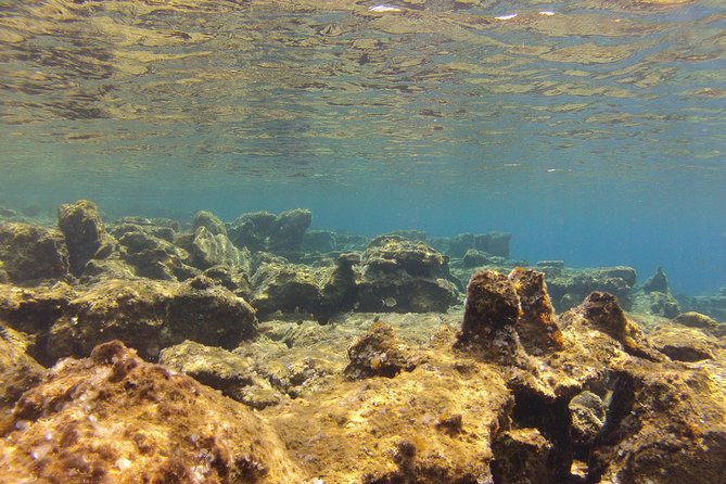Olous – Guided Snorkelling Excursion to Discover Olous Sunken Ancient City - What the price of $66.08 includes