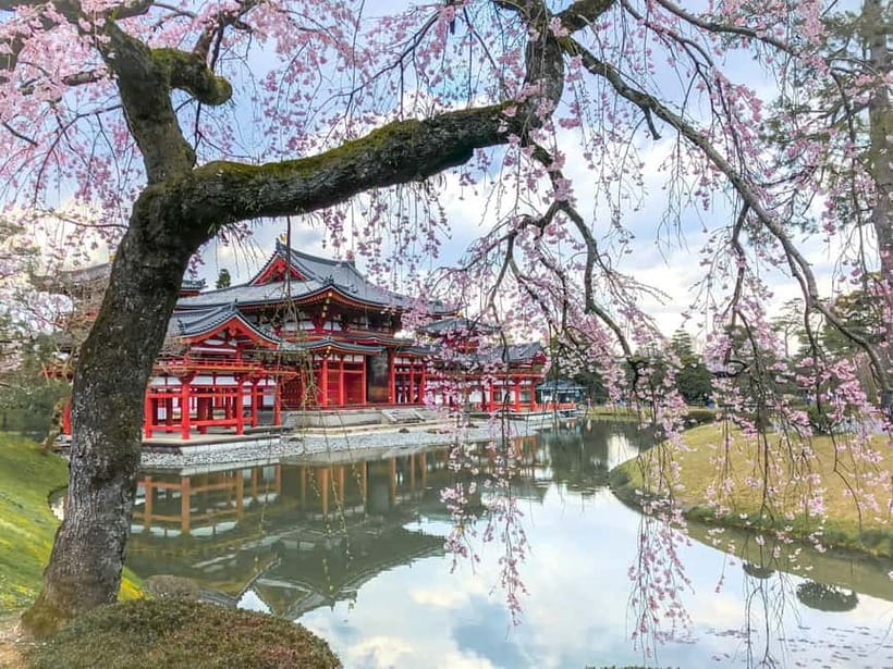 Osaka: Kyoto & Nara & Uji Historical and Scenic One-Day Tour - Todaiji and the great bronze Buddha