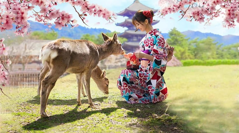 Osaka: Kyoto & Nara & Uji Historical and Scenic One-Day Tour - Uji River, Murasaki Shikibu, and Japan’s tea country