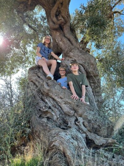 Ostuni: E-bike Tour, Ancient Olive Trees & Oil Tasting