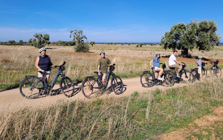 Ostuni: E-bike Tour, Ancient Olive Trees & Oil Tasting - What guide Rocco adds to the experience