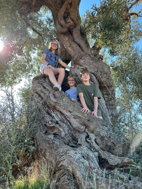 Ostuni: E-bike Tour, Ancient Olive Trees & Oil Tasting - Riding through the Coastal Dunes Regional Park