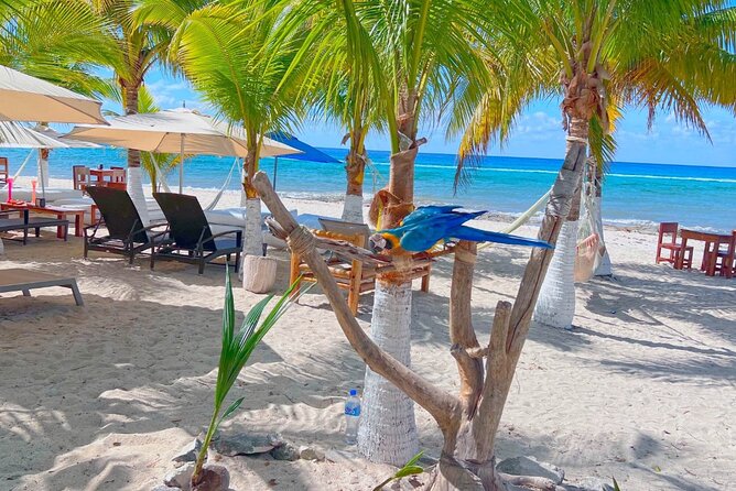 Otoch Mayan Experience Tour: Cultural & Historical Adventure - Playa San Martin offers a quieter slice of the coast