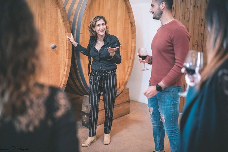 Partinico: Historic Sicilian Vineyard & Wine Tasting Tour - What the $53 price really covers