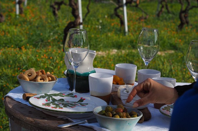 Picnic aperitif in the vineyard of an ancient trullo in Martina Franca - Local Food Served as an Apulian Picnic