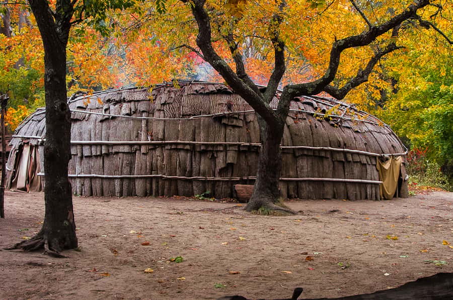 Plymouth: Plimoth Patuxet Museums - 3 tickets available - Step into the 17th-Century English Village