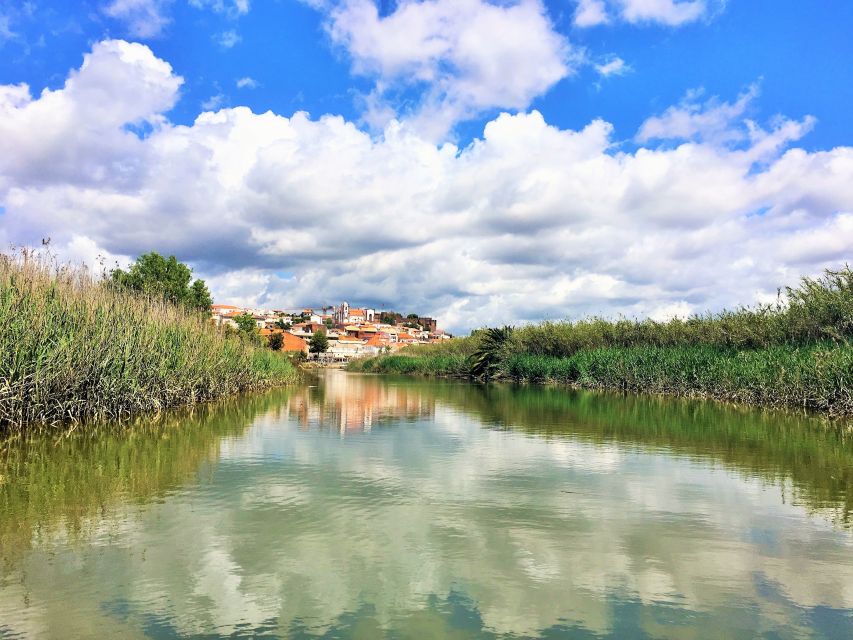 Portimão: Silves & Arade River History Tour on a Solar Boat - What the $49 price really covers